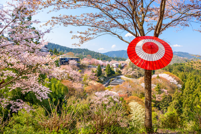 Yoshinoyama, Nara, Japan during the spring season.